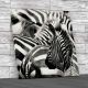 Zebra Print Canvas Print Large Picture Wall Art