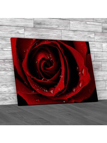 Rose Petals Up Close Canvas Print Large Picture Wall Art