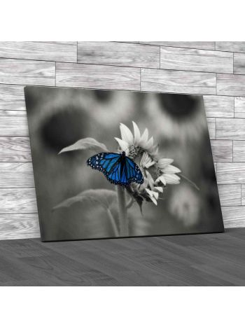 Butterfly On Flower Canvas Print Large Picture Wall Art