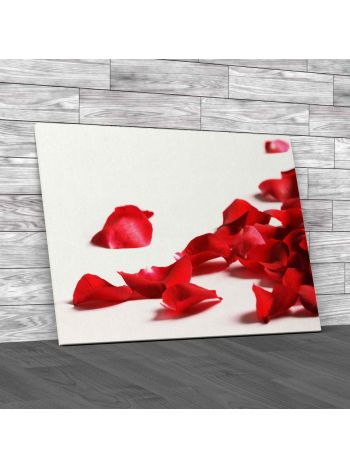Scattered Petal on Floor Canvas Print Large Picture Wall Art