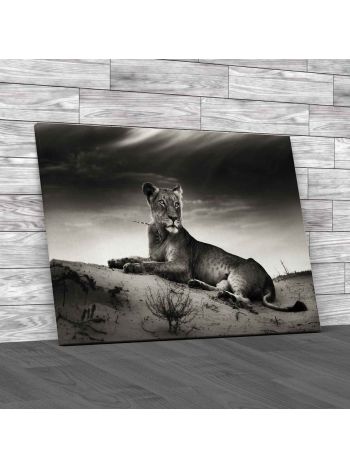 Lioness On Desert Dune Canvas Print Large Picture Wall Art