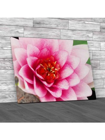 Floral Lotus Flower Canvas Print Large Picture Wall Art