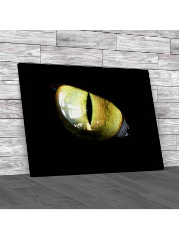 Cats Eye Close Abstract Canvas Print Large Picture Wall Art