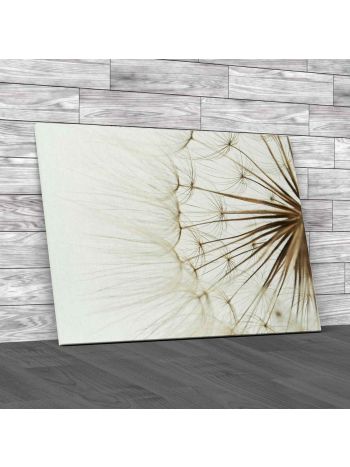 Soft Dandelion Up Close Canvas Print Large Picture Wall Art
