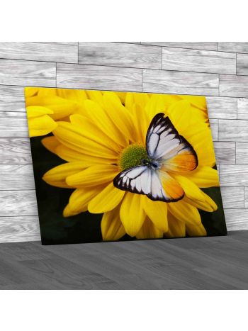 Butteryfly on Flowers Canvas Print Large Picture Wall Art