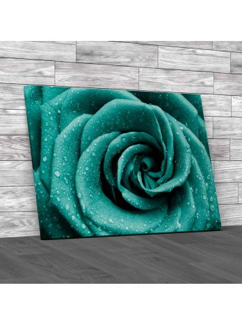 Floral Rose Petals Water Canvas Print Large Picture Wall Art