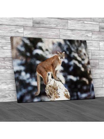 Big Cat In The Snow Canvas Print Large Picture Wall Art