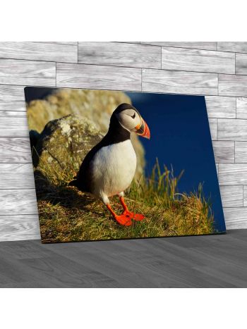 Puffin Canvas Print Large Picture Wall Art