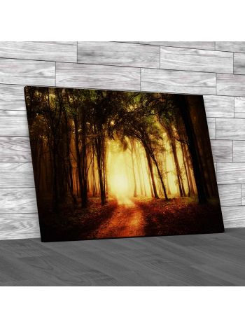 Road Through A Golden Forest Canvas Print Large Picture Wall Art