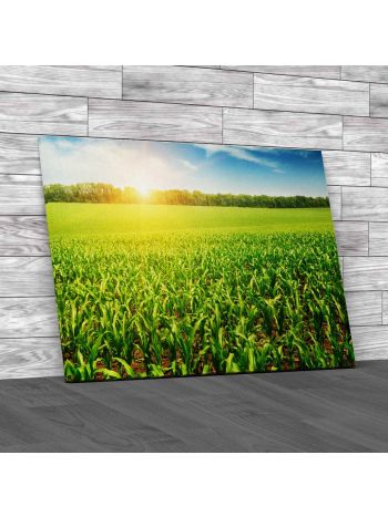 Sunrise Over The Corn Field Canvas Print Large Picture Wall Art