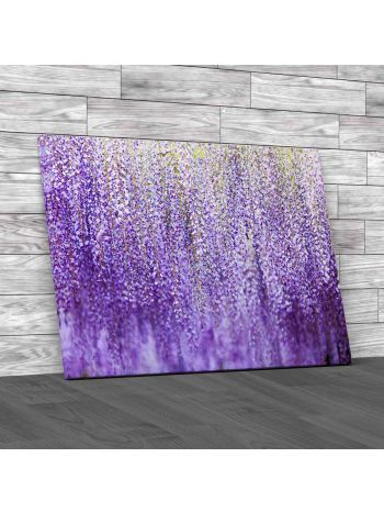 Wisteria Trellis Japan Canvas Print Large Picture Wall Art