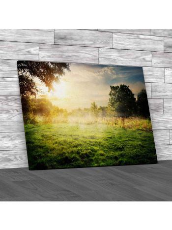 Clearing In The Forest Canvas Print Large Picture Wall Art