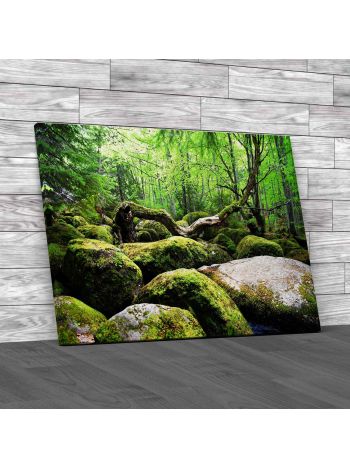 Rocks And Tree Canvas Print Large Picture Wall Art
