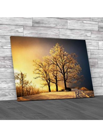 Ice And Frost Covered Oak Tree Canvas Print Large Picture Wall Art