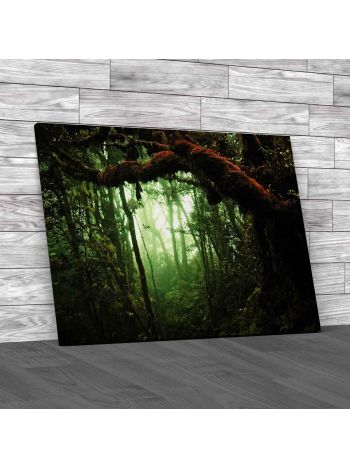 Tropical Rain Forest Canvas Print Large Picture Wall Art