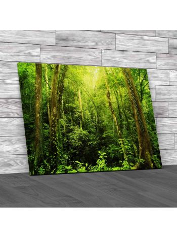 Tropical Rainforest Landscape Malaysia Canvas Print Large Picture Wall Art