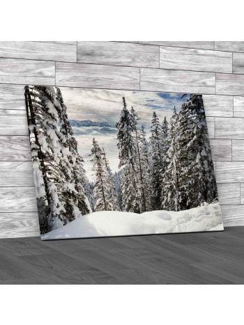 Winter Forest In Alps Austria Canvas Print Large Picture Wall Art
