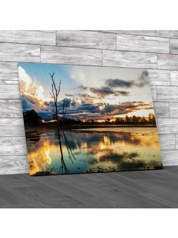 Sunset In Pantanal Brazil Canvas Print Large Picture Wall Art
