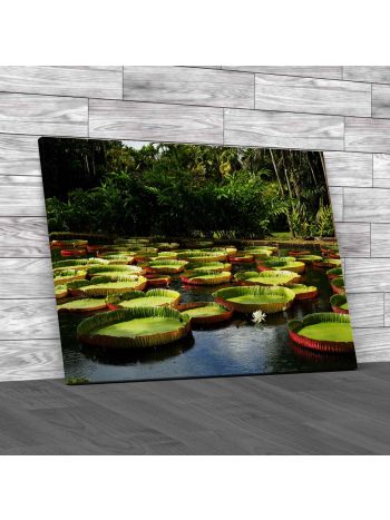 Water Lilies In The Amazon Canvas Print Large Picture Wall Art