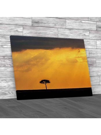 Serengeti National Park Tanzania 2 Canvas Print Large Picture Wall Art