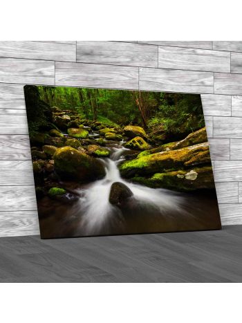 Waterfalls In Roaring Fork Nature Trail Canvas Print Large Picture Wall Art