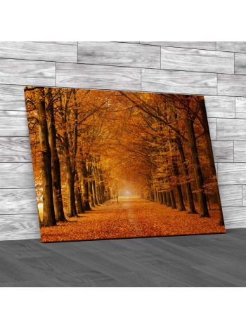 Autumn Avenue Canvas Print Large Picture Wall Art