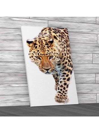 Close Prowling Leopard Canvas Print Large Picture Wall Art