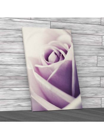 Soft Rose Flower Petals Canvas Print Large Picture Wall Art