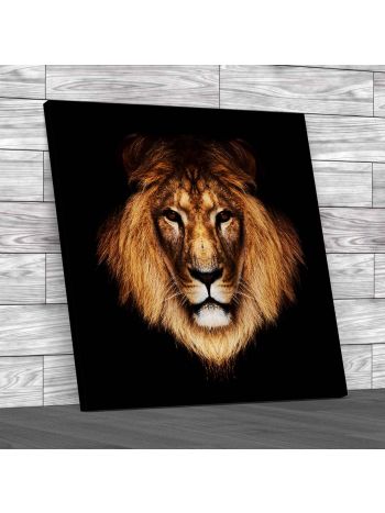 Lion Face and Lions Head Square Canvas Print Large Picture Wall Art