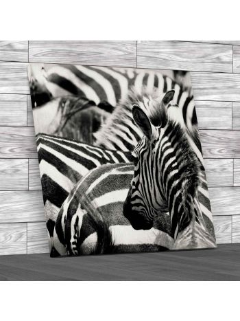 Zebra Print Canvas Print Large Picture Wall Art
