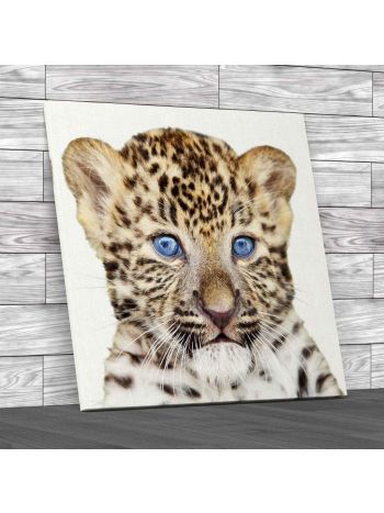 Baby Leopard Cub Square Canvas Print Large Picture Wall Art